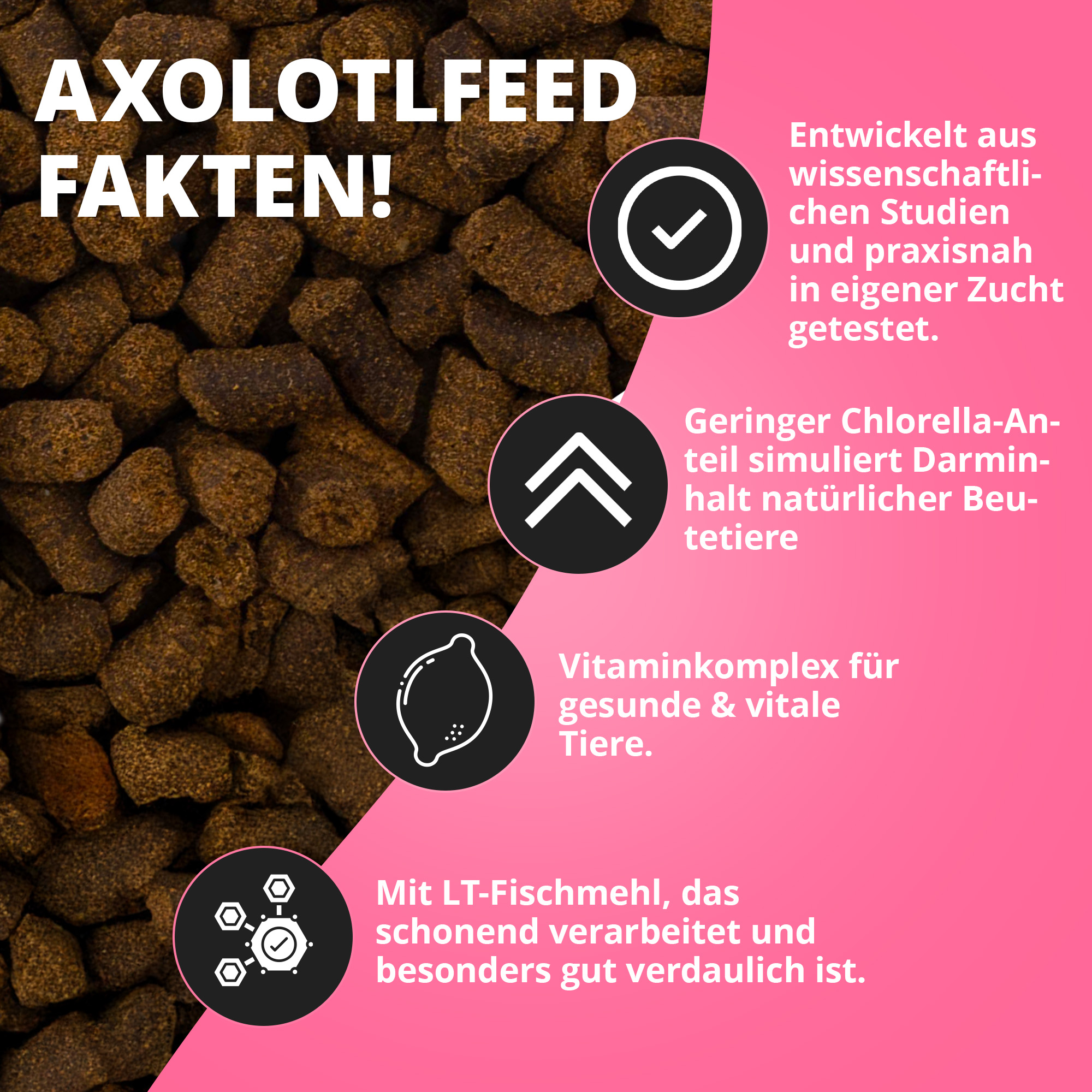 Axolotl-Futterpellets links und Produktinfos rechts